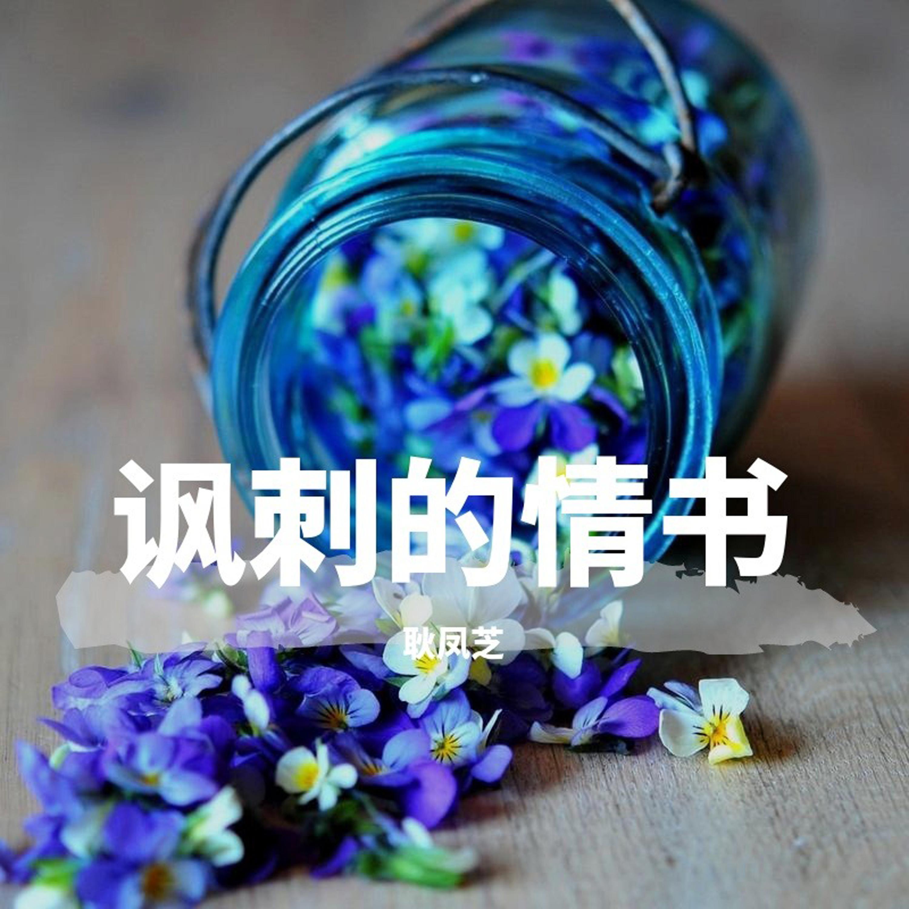 讽刺的情书 - 耿凤芝封面