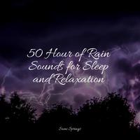 50 Hour of Rain Sounds for Sleep and Relaxation