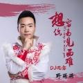想你容易见面难 (DJ沈念版)封面