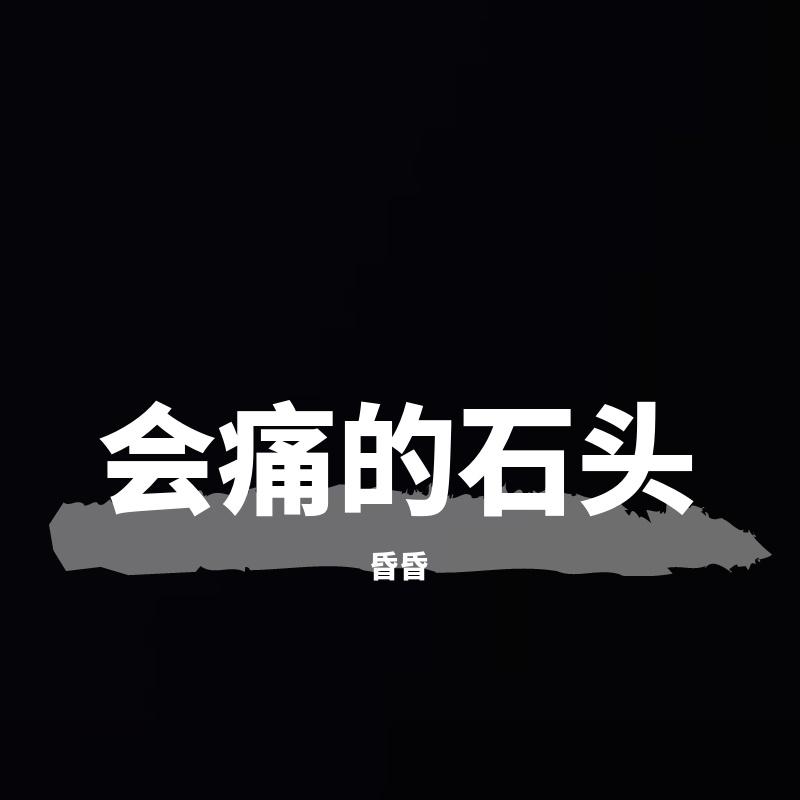 会痛的石头封面