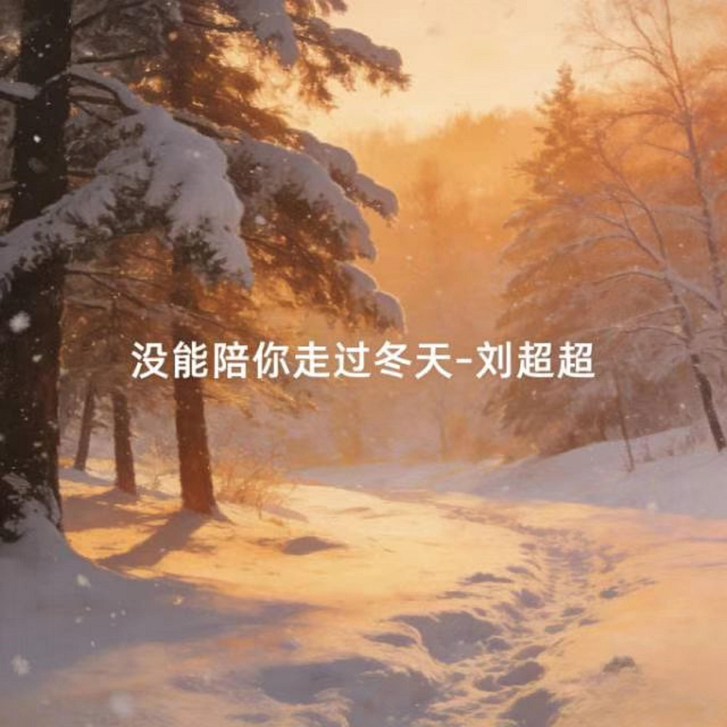 没能陪你走过冬天封面