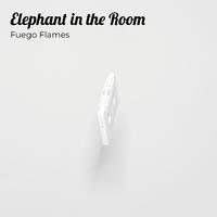 Elephant in the Room