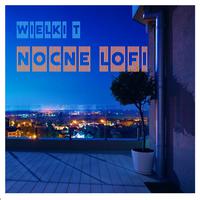 Nocne Lofi