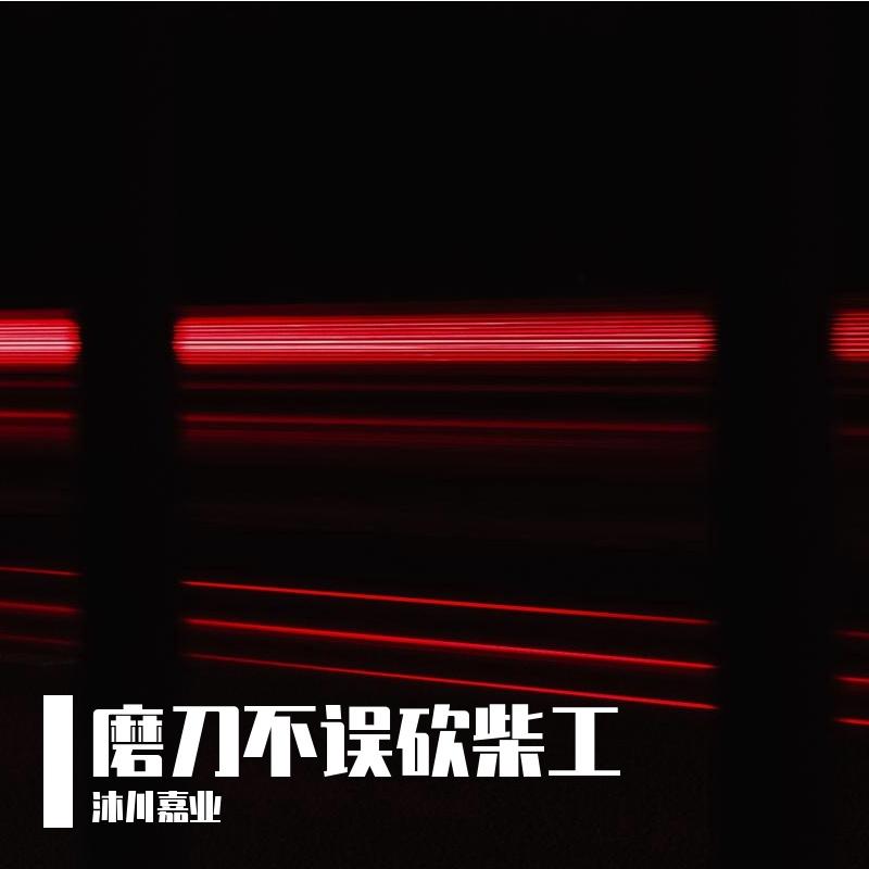 踊り子（舞女）（Punk-Cover）封面