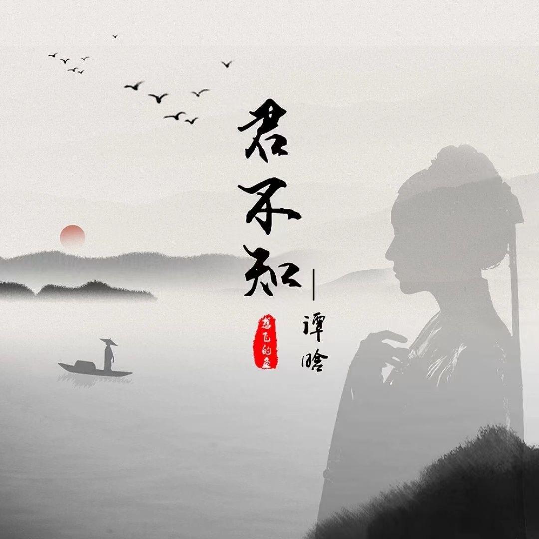 君不知 (DJ版)封面