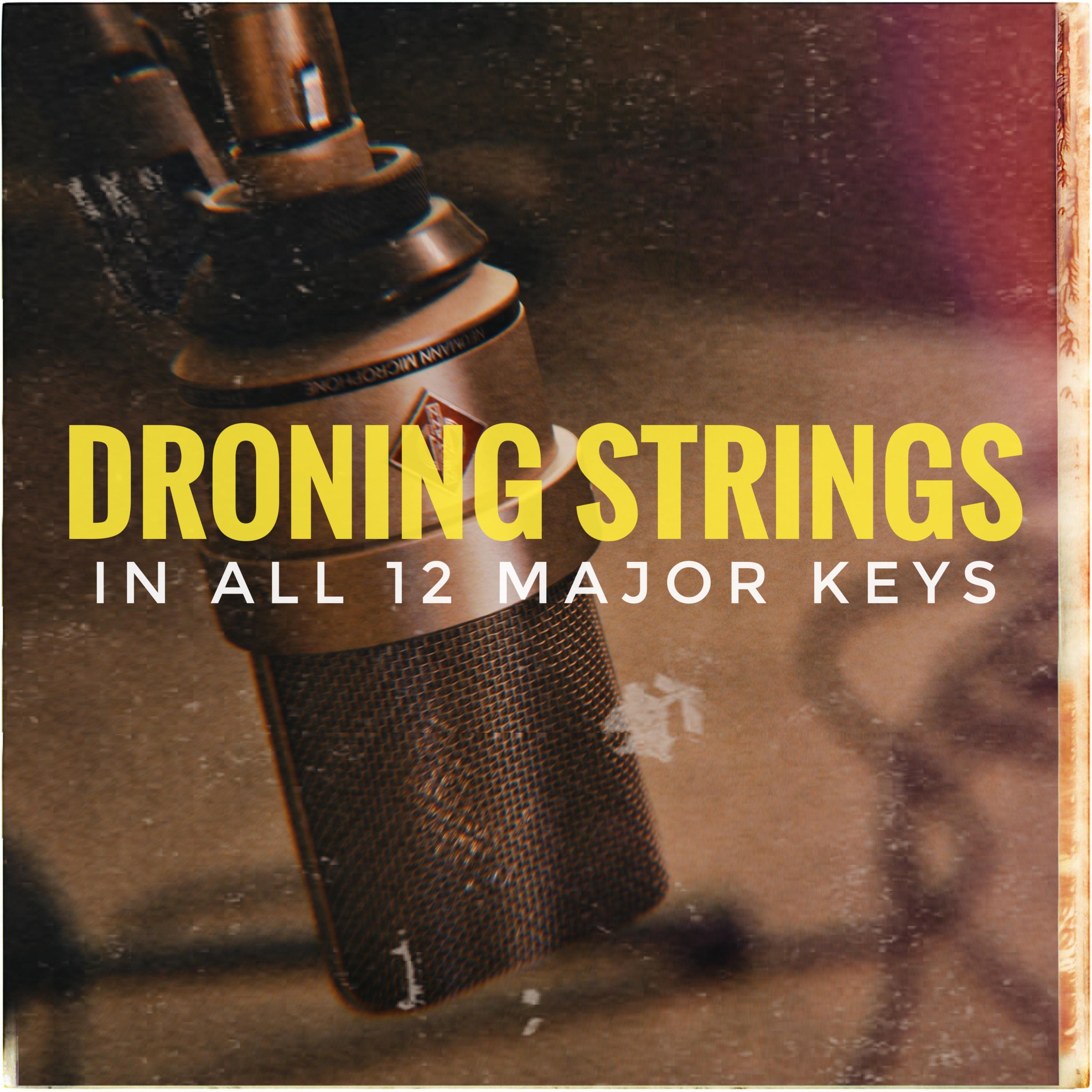 e major droning strings practicing track