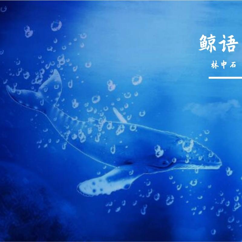 鲸语封面