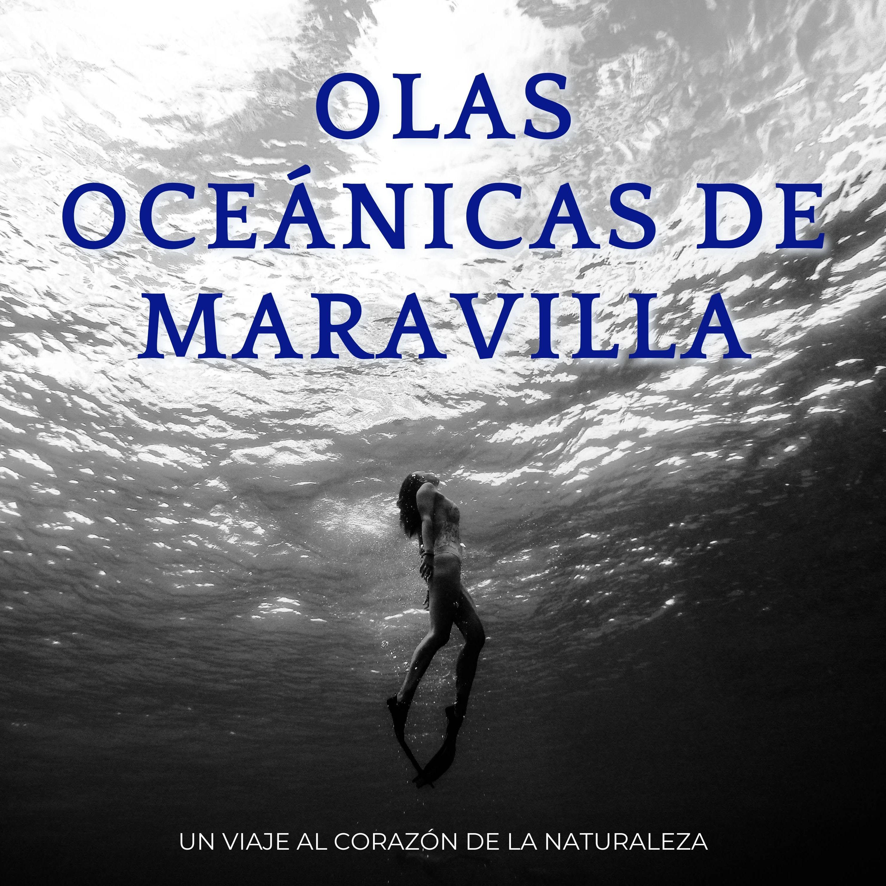 Aventuras De Sonidos Oceánicos De La Naturaleza_Serie de sonidos de la naturaleza_Olas Oceánicas De Maravilla: Un Viaje Al Corazón De La Naturaleza | 在线播放_Aventuras De Sonidos Oceánicos De La Naturaleza歌词_Aventuras De Sonidos Oceánicos De La Naturaleza下载 | 网易云音乐
