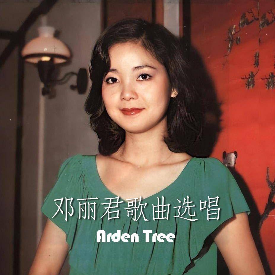 芳草无情封面