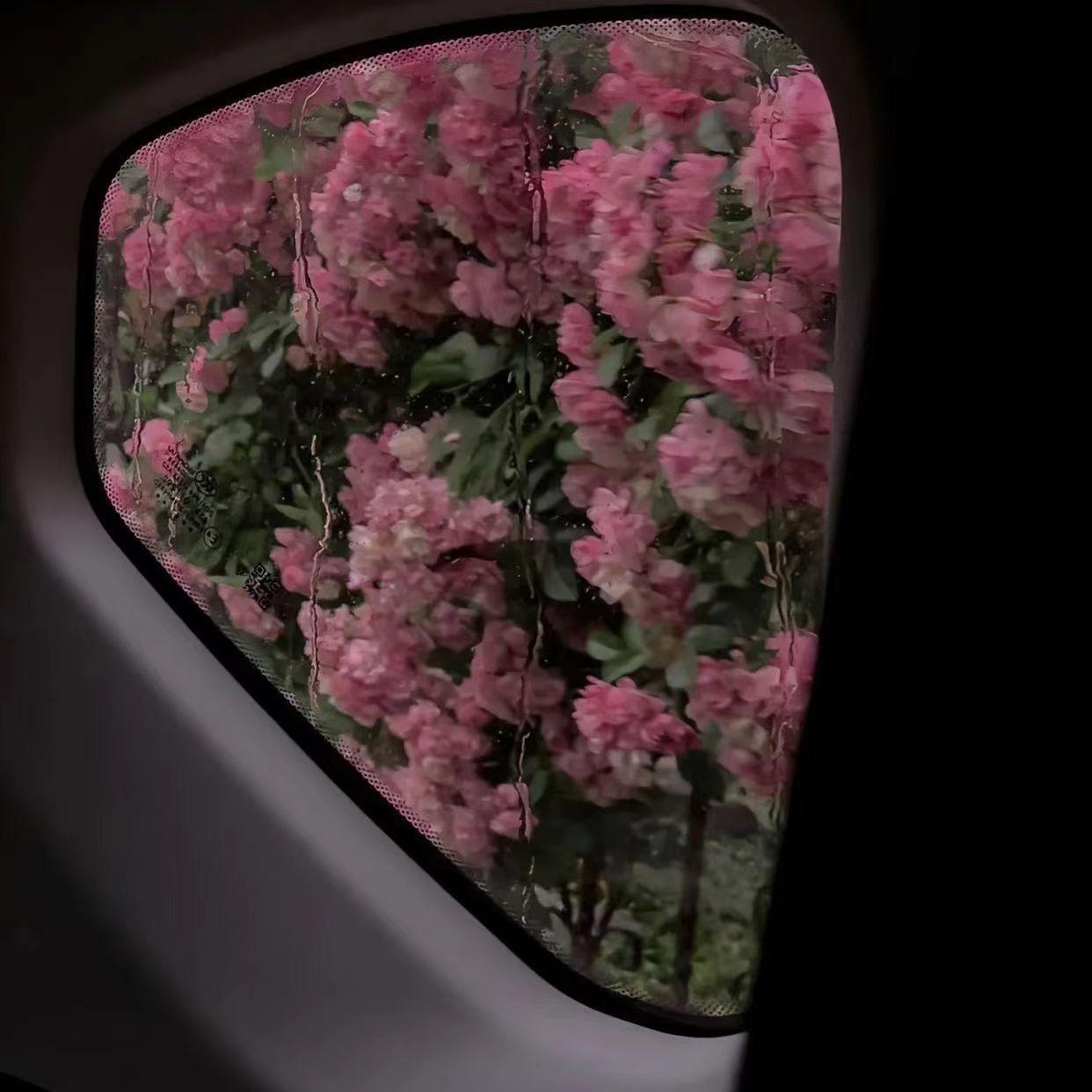 门铃响了（Prod by MORROW）