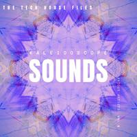 Kaleidoscope Sounds, Vol. 4 (The Tech House Files)