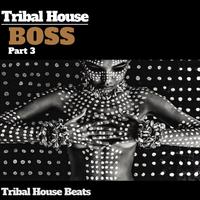 Tribal House Boss, Pt. 3 (Tribal House Beats)