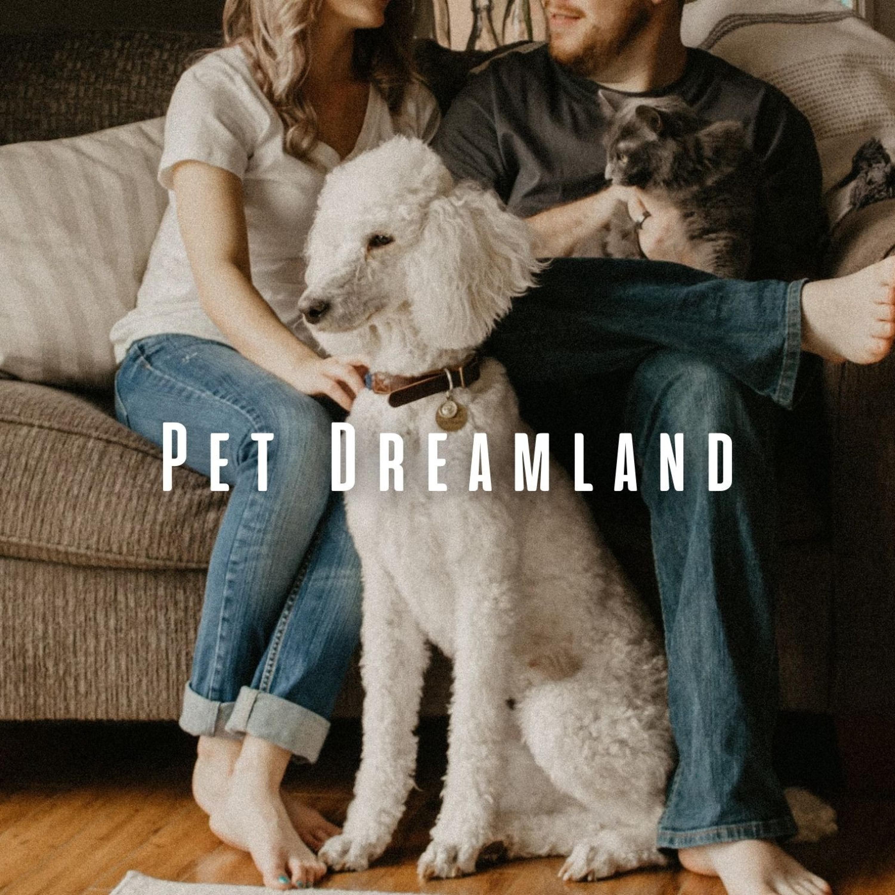 Top 5 Pet-Friendly Apartments Near Me: Find Your Dream Home Today!