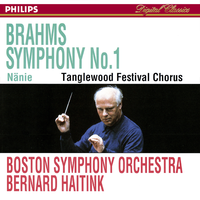 Brahms: Symphony No. 1