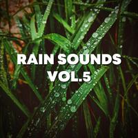 Rain Sounds Vol.5