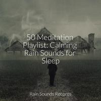 50 Meditation Playlist: Calming Rain Sounds for Sleep