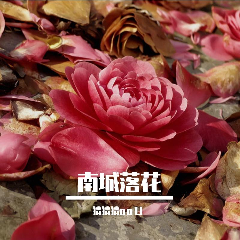 南城落花 - 猜猜猜oοО封面