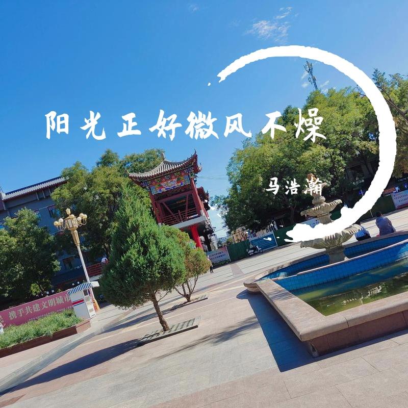 阳光正好微风不燥封面