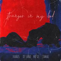 Stranger in my bed (feat. Tamaz)