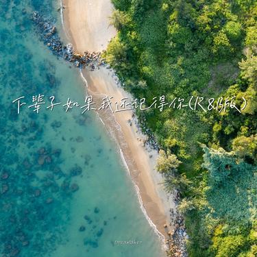 下辈子如果我还记得你 (R&B版)封面