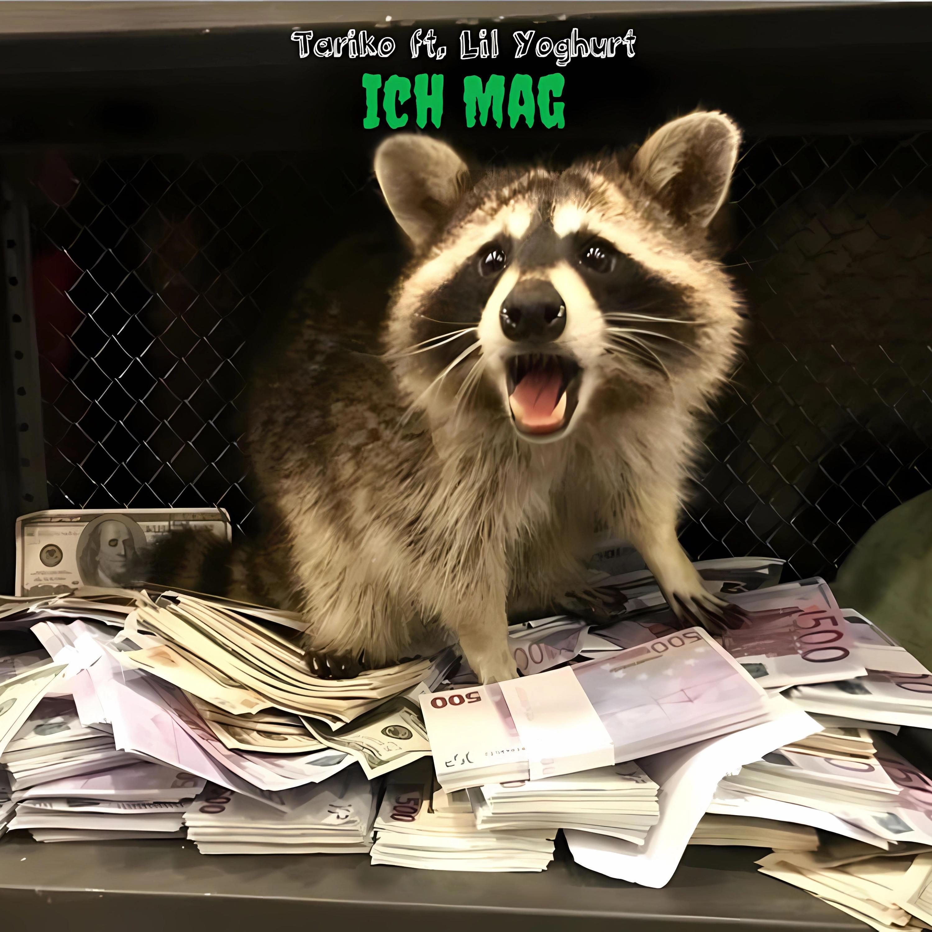 ich mag (feat. Lil Yoghurt)