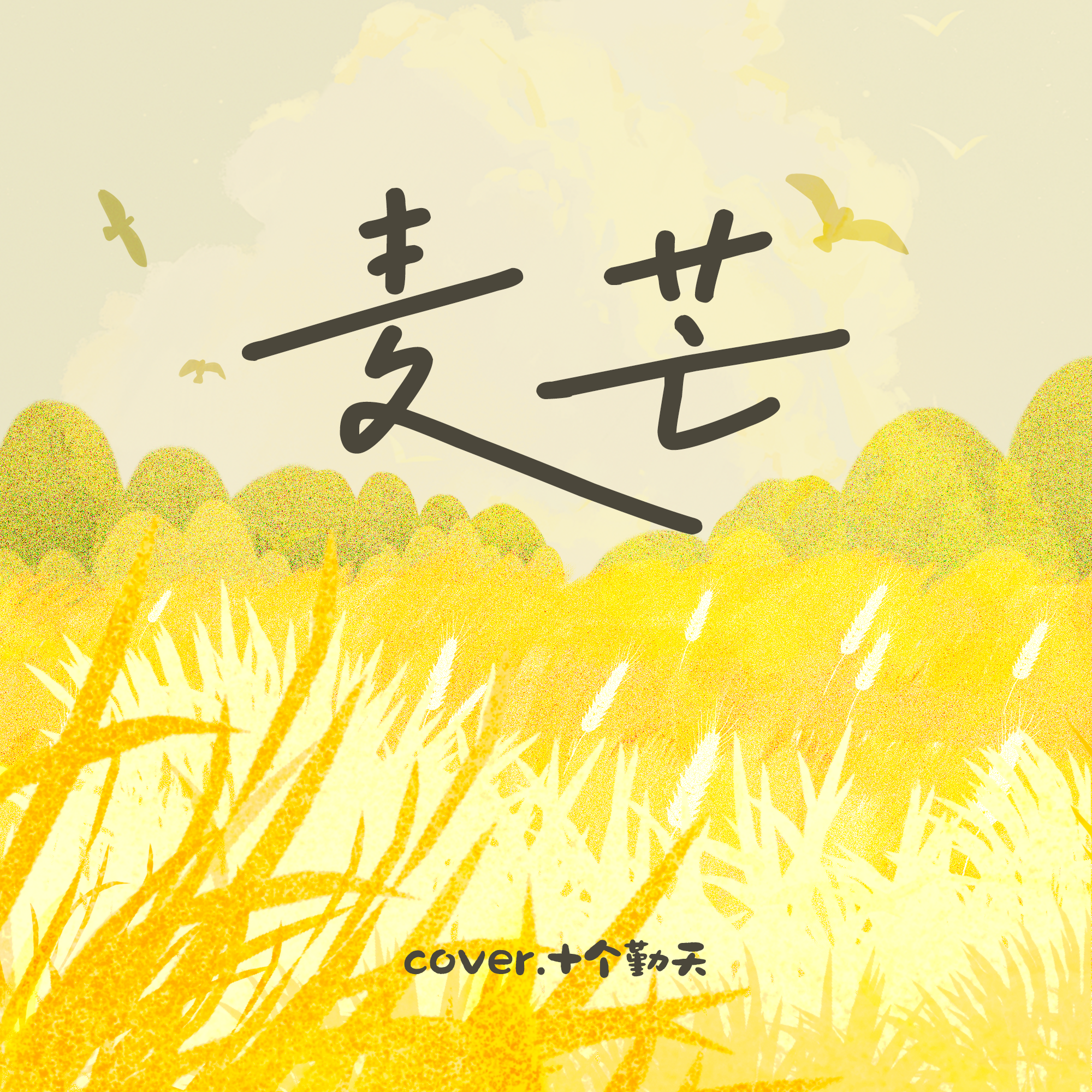 麦芒封面