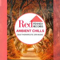 Ambient Chills - 2019 Therapeutic Spa Music