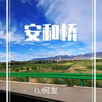 宋冬野 - 安和桥（DJ何友版）