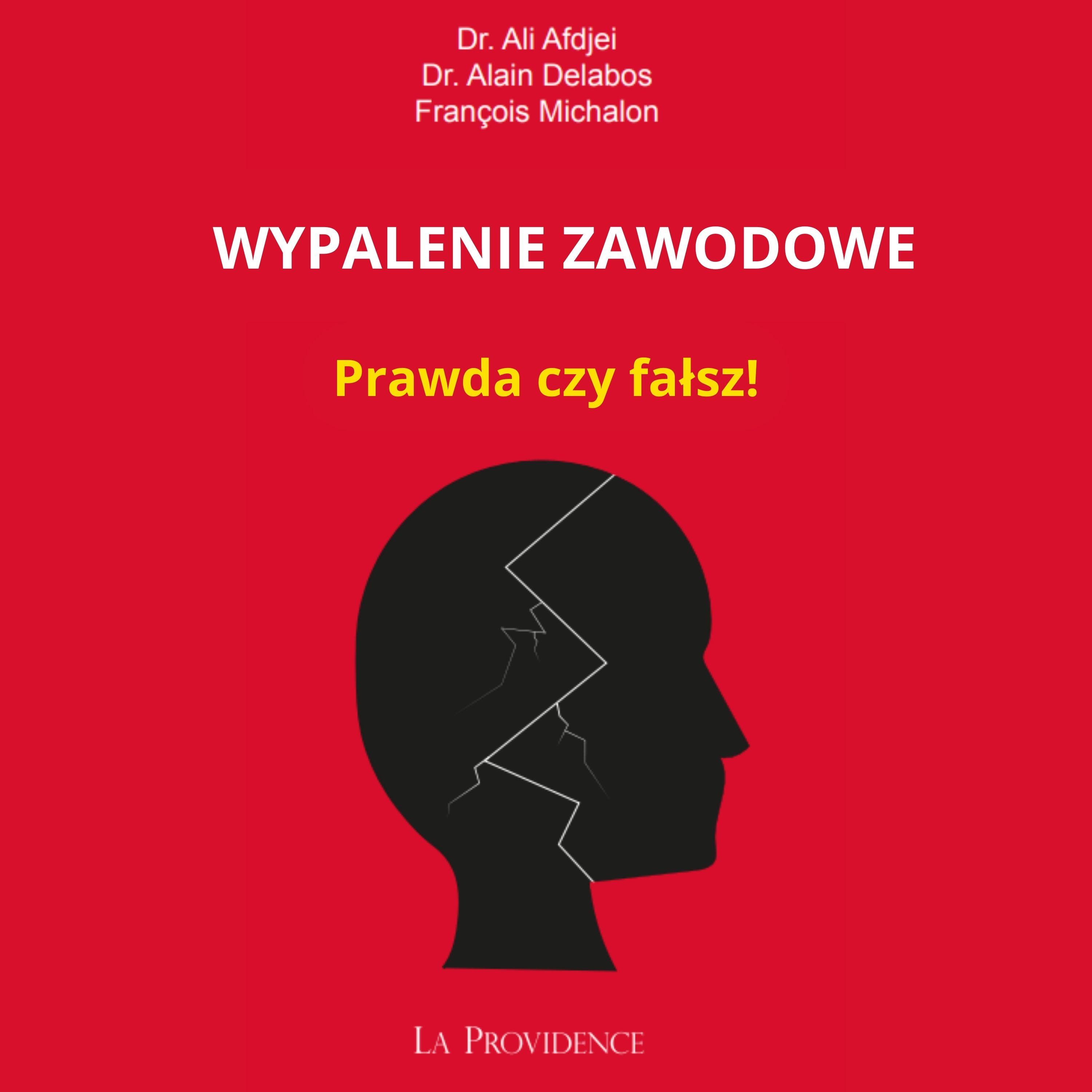 Rozdział 8 - Świadectwa, dialogi i doświadczenia wypalenia zawodowego - 2