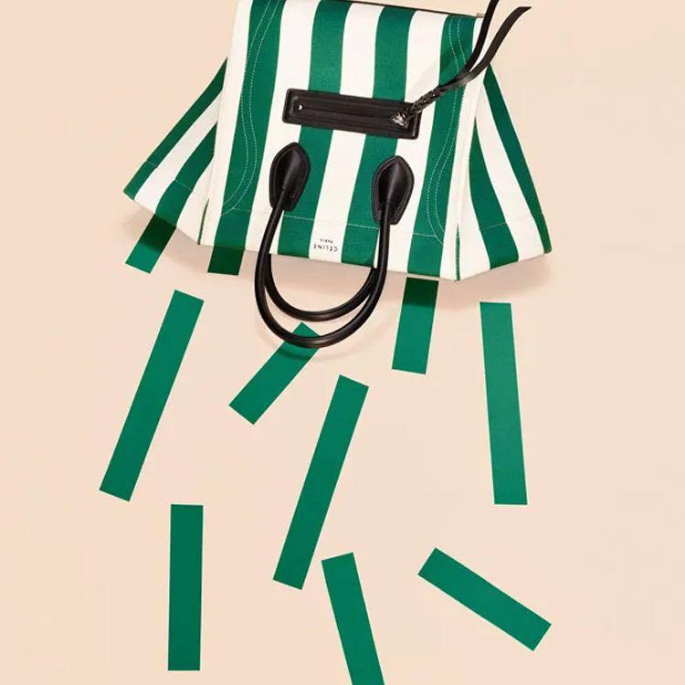 曾沿着雪路浪游