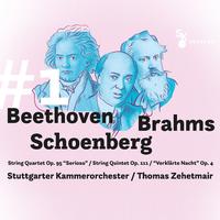 Beethoven: String Quartet No. 11 in F Minor, Op. 95 