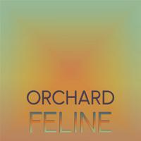 Orchard Feline