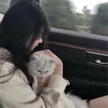 雨淋湿了天空(DJ版)封面