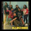 Wild Wild Women - I Do It For Hip Hop