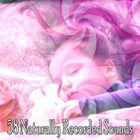 58 Naturally Recorded Sounds