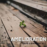 Amelioration