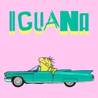 Iguana