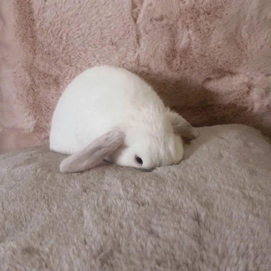 您撥的電話現在無法接通✩⡱請稍後再騙