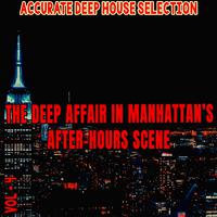 The Deep Affair in Manhattan's After-Hours Scene, Vol. 4