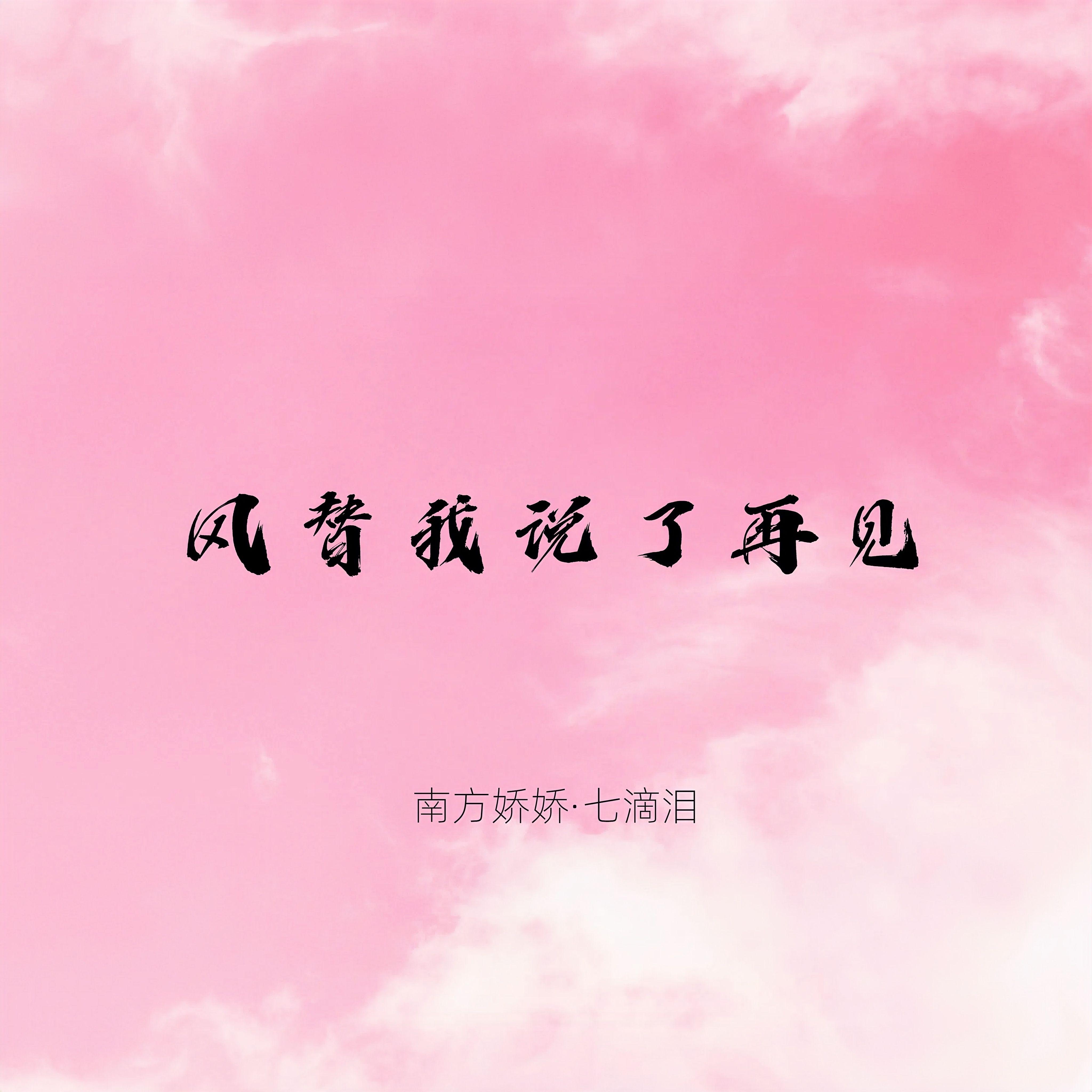 风替我说了再见 - 南方娇娇封面