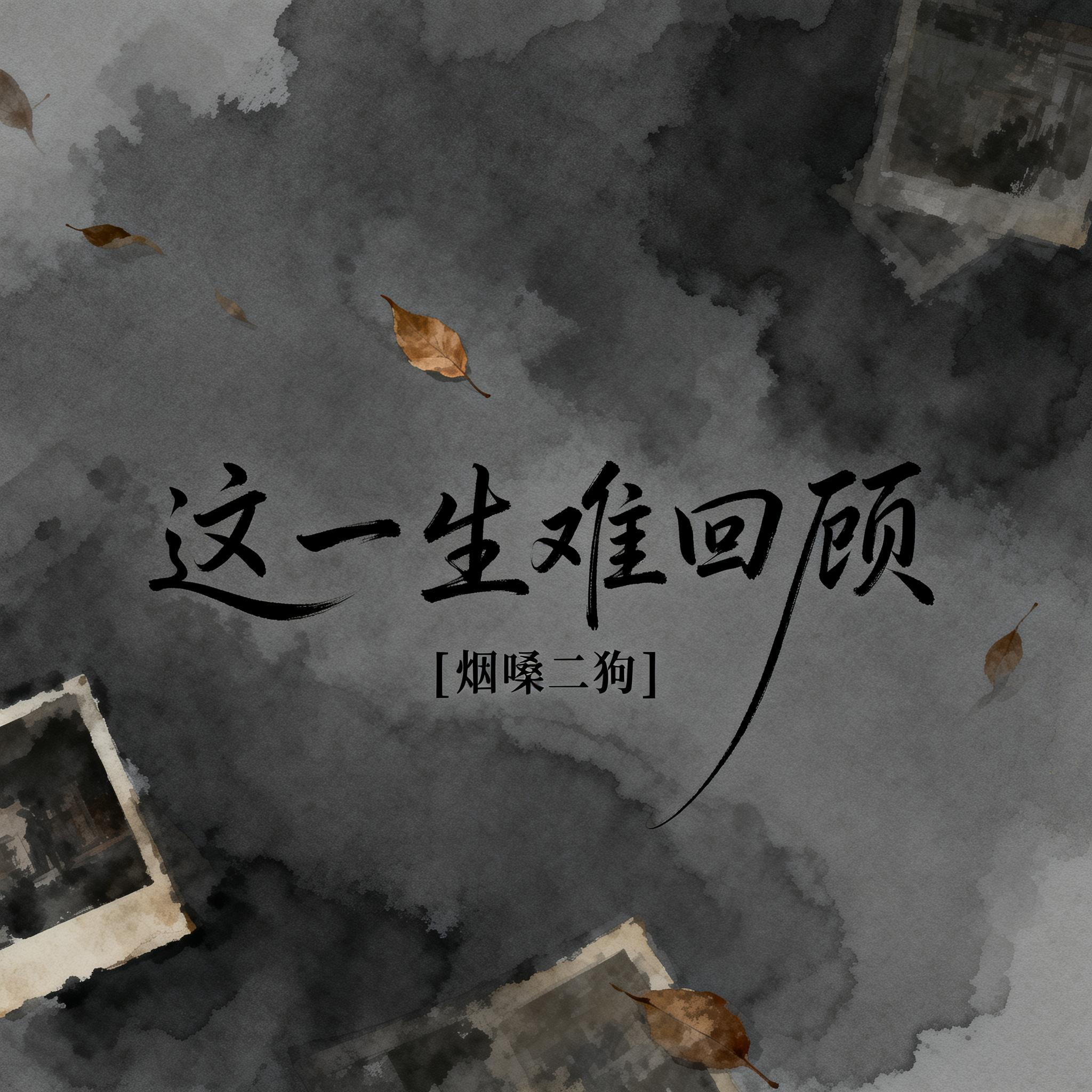 这一生难回顾封面