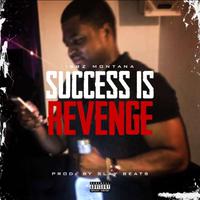 Success Is Revenge