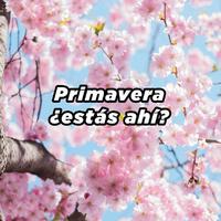 Primavera ¿estás ahí?