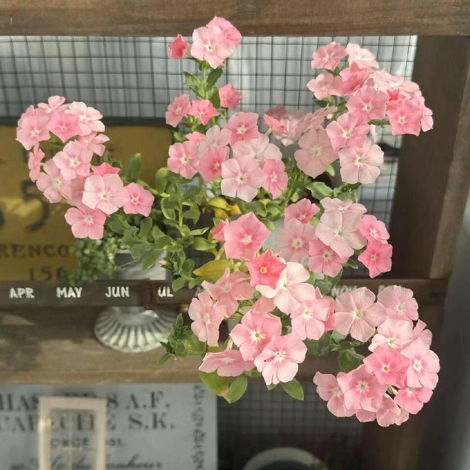 随心所爱的未来 - 林景川封面