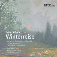 Schubert: Winterreise, D. 911 (Arr. for Voice and String Trio by Shane Woodborne): No. 1 Gute Nacht