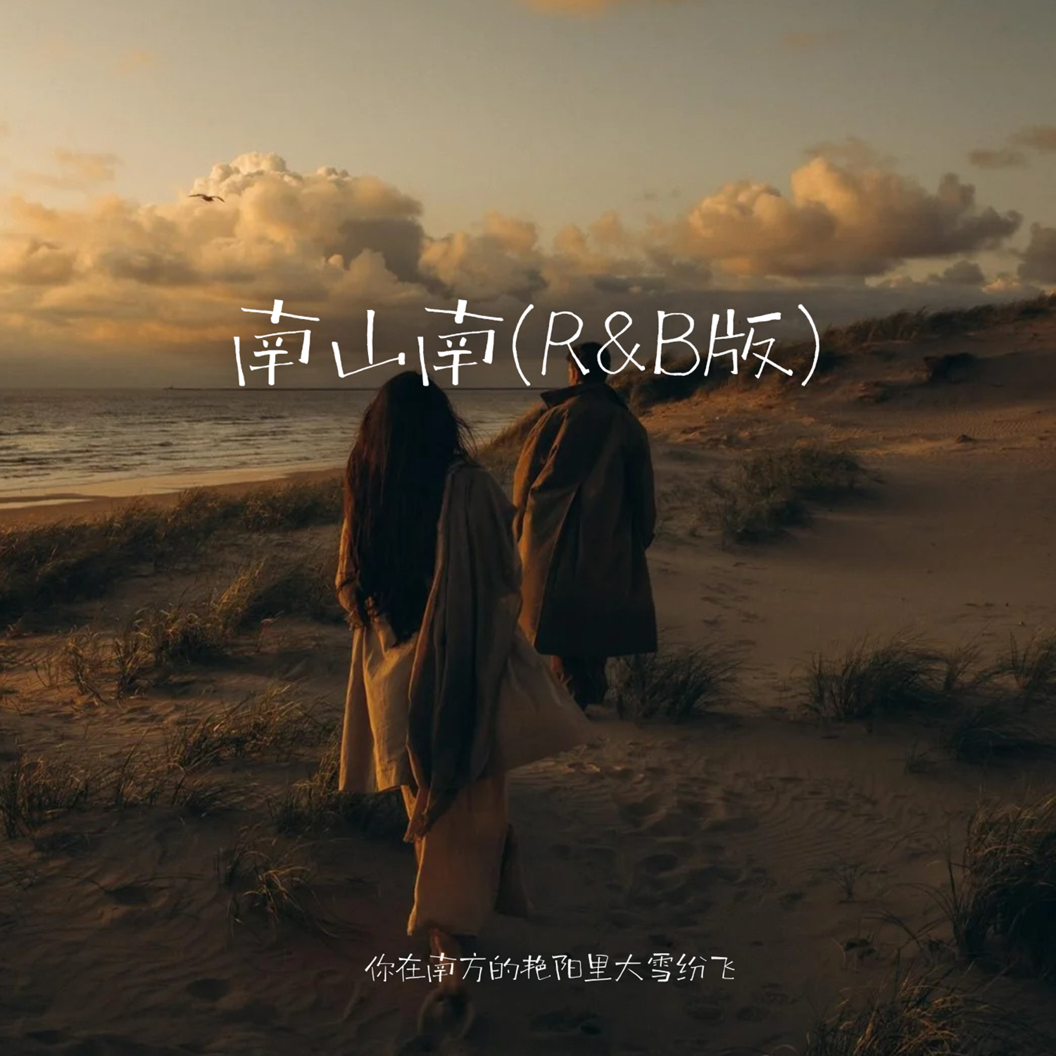 南山南(R&B版)封面