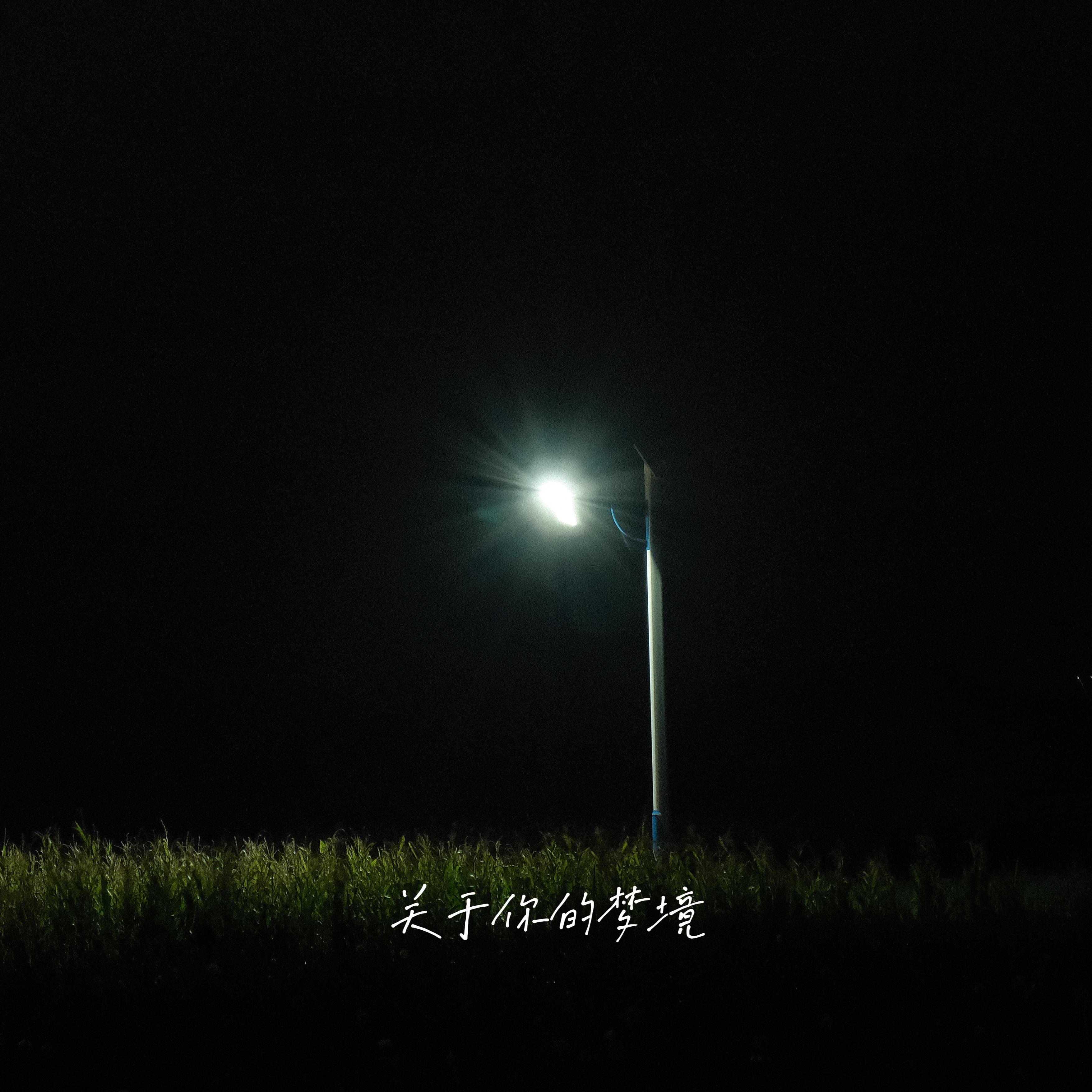 关于你的梦境_王东东_关于你的梦境 | 在线播放_关于你的梦境歌词_关于你的梦境下载 | 网易云音乐