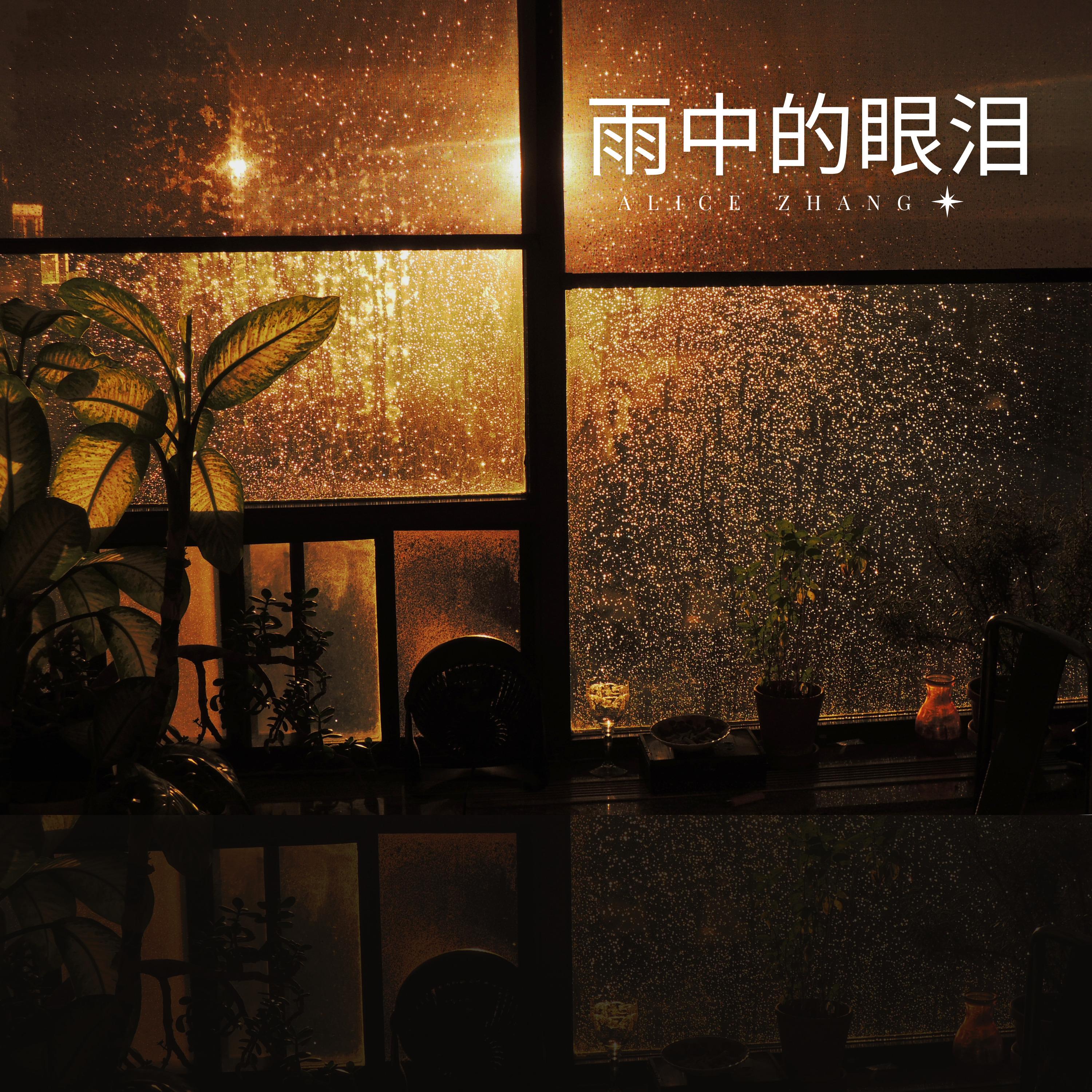 我已经不爱了封面