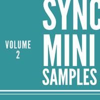 Sync Mini Samples, Vol. 2 (Sync Cut Sample)