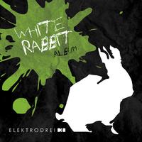 White Rabbit